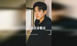 毛子哥91直播是什么梗,揭秘网络热梗背后的故事